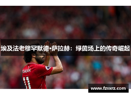 埃及法老穆罕默德·萨拉赫：绿茵场上的传奇崛起